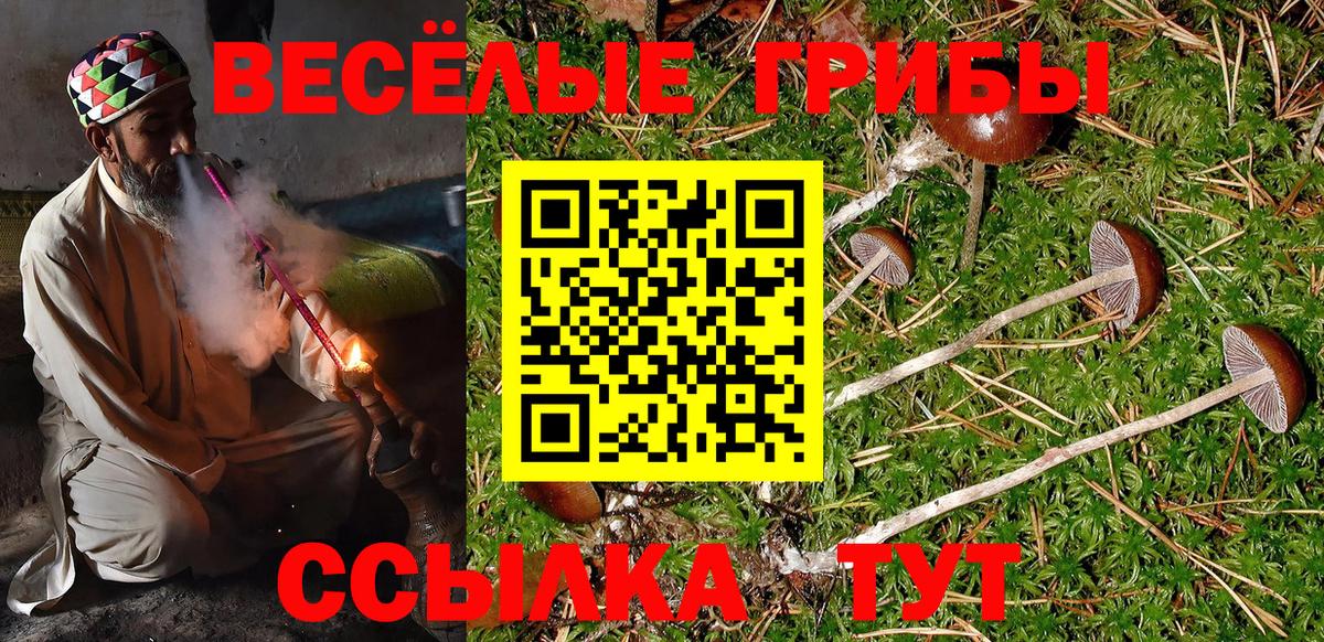 Галлюциногенные грибы MAGIC MUSHROOMS Туапсе