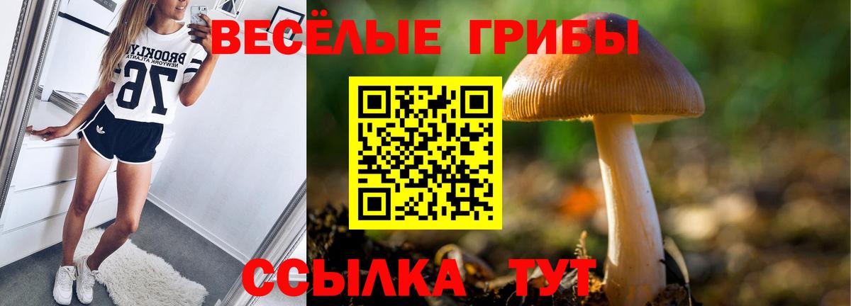 Галлюциногенные грибы GOLDEN TEACHER  Вход с VPN  Туапсе 